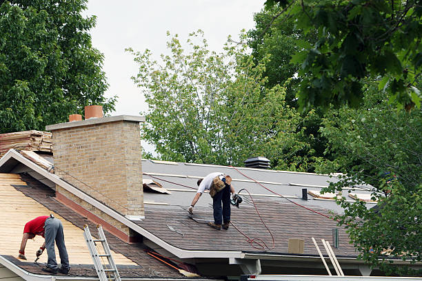 Roof Gutter Cleaning in Searcy, AR